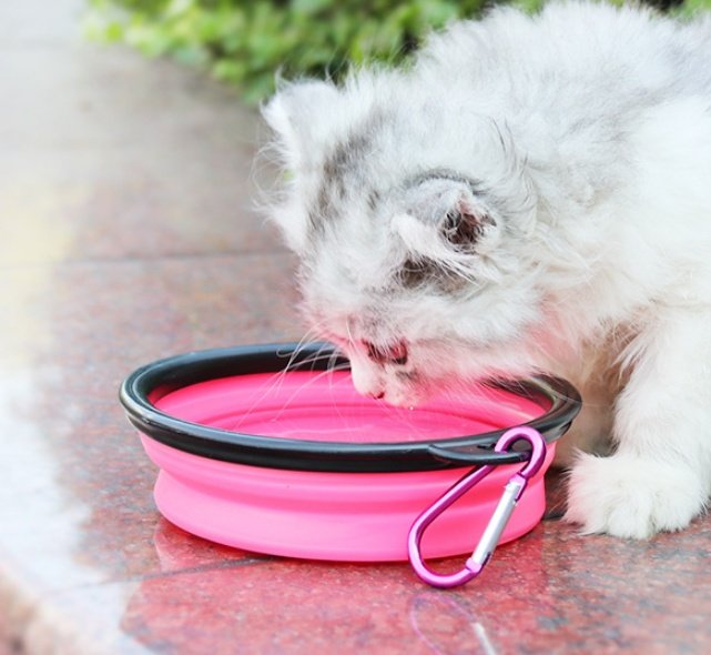 2 In 1Pet Water Bottle Dispenser Travel Portable Dog Cat Drinking Silicone Bowl - Image 5