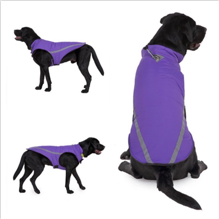 Dog clothes autumn winter clothes winter coats - Image 4