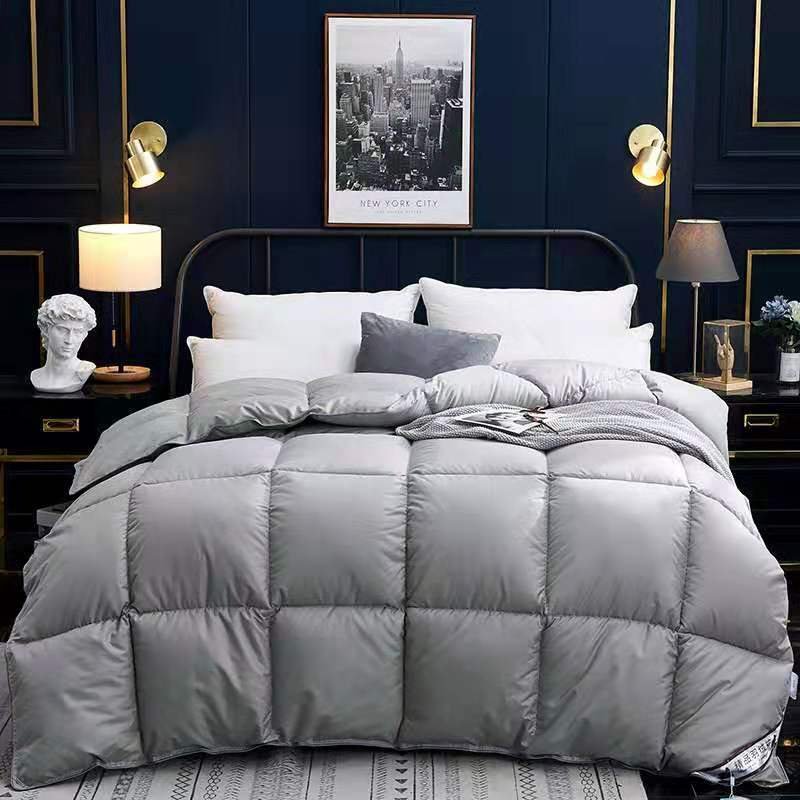 Down Duvet, Winter Duvet, Goose Down Duvet Core, Air Conditioner - Image 6