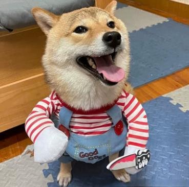 Halloween Pet Costume Pet Dog Funny Clothes Adjustable Dog Cosplay Costume Scary Costume Party Gatherings - Image 10